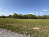 Lot  4 & 5 Houston Drive - Photo 6