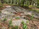 3241 Oswego Rd - Photo 7