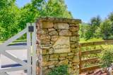 Lot 21 &22 Walden Cove Way - Photo 1