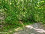 Lot 21 &22 Walden Cove Way - Photo 12