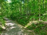 Lot 21 &22 Walden Cove Way - Photo 20