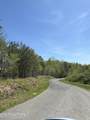  Coon Hollow Rd - Photo 2