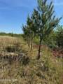  Coon Hollow Rd - Photo 4
