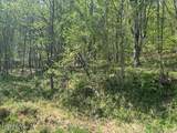  Lot 537 Whistle Valley Rd - Photo 5