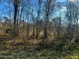 Lot 3 Lamontville Rd - Photo 11