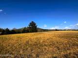 Lot 3 Lamontville Rd - Photo 17