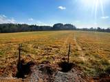 Lot 3 Lamontville Rd - Photo 6
