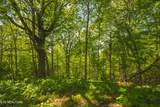 Lot 491 Magnolia Lane - Photo 15