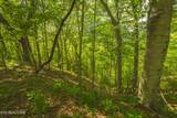 Lot 491 Magnolia Lane - Photo 20