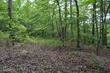 Lot 6 Forest Trails Lane - Photo 1
