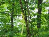 Lot 6 Forest Trails Lane - Photo 10