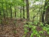 Lot 6 Forest Trails Lane - Photo 12