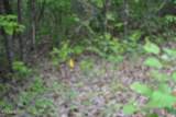 Lot 6 Forest Trails Lane - Photo 28