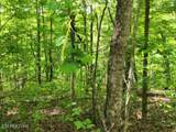 Lot 6 Forest Trails Lane - Photo 4