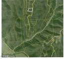 Lot 6 Forest Trails Lane - Photo 40