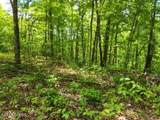 Lot 6 Forest Trails Lane - Photo 5
