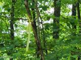 Lot 6 Forest Trails Lane - Photo 9