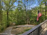 313 Domar Drive - Photo 9