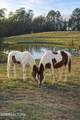 1440 Goose Gap Rd - Photo 9
