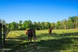147 Akers Chapel Loop - Photo 49