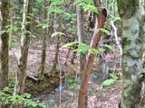  Payne Rd - Photo 11