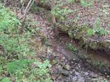 Payne Rd - Photo 15