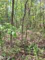  Payne Rd - Photo 17