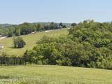 Lot 74 Serenity Overlook - Photo 7