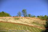 100c Mallard Lane - Photo 13