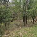 1919 Chelaque Way - Photo 4