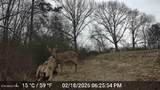 15370 Watson Rd - Photo 8