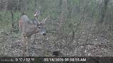 15370 Watson Rd - Photo 9