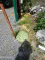 1407 Hwy 25E - Photo 29