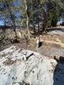 1407 Hwy 25E - Photo 6