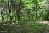 10.13ac Forest Trails Lane - Photo 11
