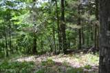 10.13ac Forest Trails Lane - Photo 14