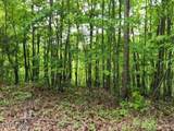 10.13ac Forest Trails Lane - Photo 2