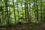 10.13ac Forest Trails Lane - Photo 27