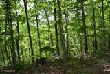 10.13ac Forest Trails Lane - Photo 29