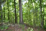 10.13ac Forest Trails Lane - Photo 31