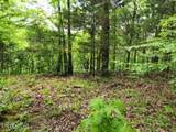 10.13ac Forest Trails Lane - Photo 5