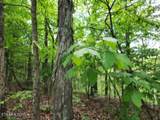 10.13ac Forest Trails Lane - Photo 7