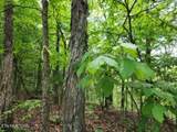10.13ac Forest Trails Lane - Photo 8