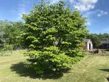 415 Barberry Drive - Photo 31
