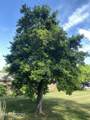 415 Barberry Drive - Photo 34