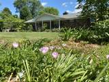 415 Barberry Drive - Photo 36