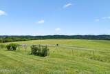 1131 Nance Rd - Photo 48
