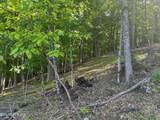 490 Fox Ridge Lane - Photo 11
