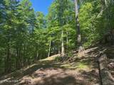 490 Fox Ridge Lane - Photo 4