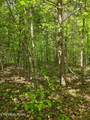  Crestwood Drive - Photo 20